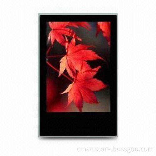 Signage Advertising Display, Supports CF, U-disk Play Back and Scrolling Marquee